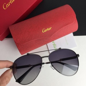 Cartier Men's Sunglasses ASS650045