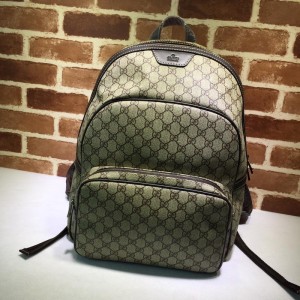 Gucci Perfect Quality brown back pack GC06BM043